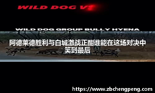 vsport- 胜利因您更精彩